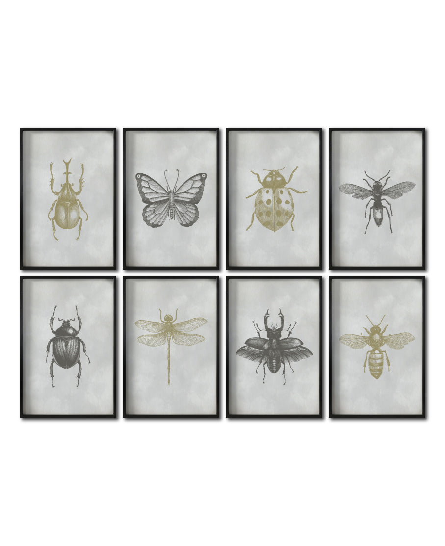 Set 8 Cuadros Decorativos Insectos 022 - Escarabajos, Mariposa, Libélula, Catarina, Abeja, Avispa