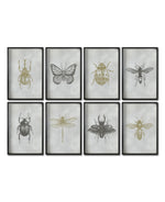 Cargar imagen en el visor de la galería, Set 8 Cuadros Decorativos Insectos 022 - Escarabajos, Mariposa, Libélula, Catarina, Abeja, Avispa
