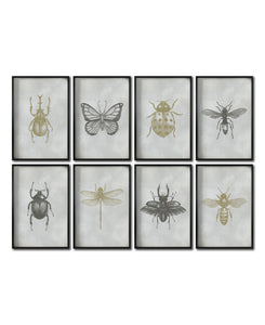 Set 8 Cuadros Decorativos Insectos 022 - Escarabajos, Mariposa, Libélula, Catarina, Abeja, Avispa