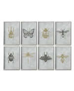 Cargar imagen en el visor de la galería, Set 8 Cuadros Decorativos Insectos 022 - Escarabajos, Mariposa, Libélula, Catarina, Abeja, Avispa
