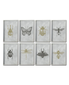 Set 8 Cuadros Decorativos Insectos 022 - Escarabajos, Mariposa, Libélula, Catarina, Abeja, Avispa