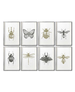 Cargar imagen en el visor de la galería, Set 8 Cuadros Decorativos Insectos 023 - Escarabajos, Mariposa, Libélula, Catarina, Abeja, Avispa
