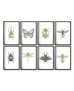 Cargar imagen en el visor de la galería, Set 8 Cuadros Decorativos Insectos 023 - Escarabajos, Mariposa, Libélula, Catarina, Abeja, Avispa
