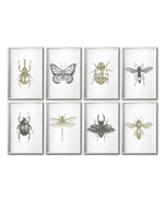 Cargar imagen en el visor de la galería, Set 8 Cuadros Decorativos Insectos 023 - Escarabajos, Mariposa, Libélula, Catarina, Abeja, Avispa
