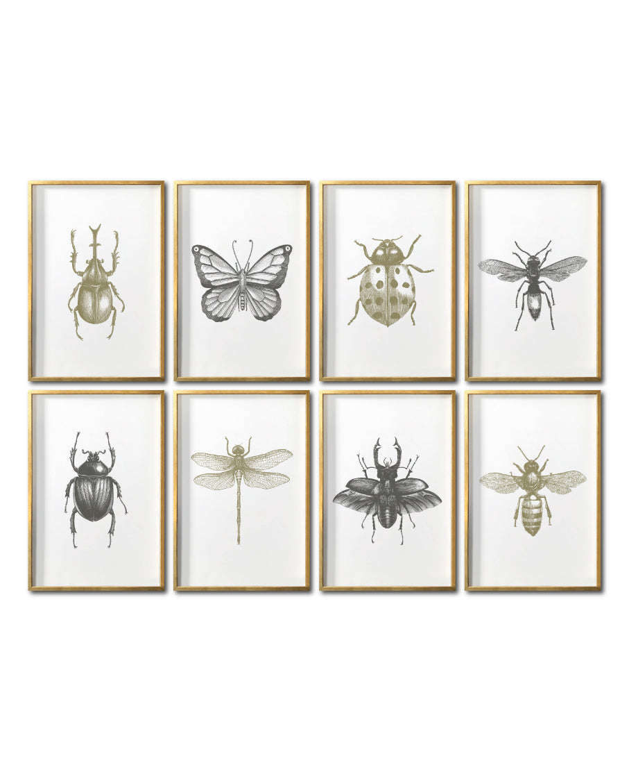 Compra cuadros de Insectos para tu recámara en México. Galería 314. Arte minimalistas.