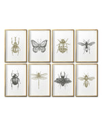 Cargar imagen en el visor de la galería, Compra cuadros de Insectos para tu recámara en México. Galería 314. Arte minimalistas.
