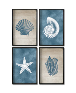 Set Cuadros Decorativos Marino 001 Caracol, Concha y Estrella de Mar