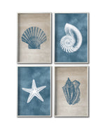 Cargar imagen en el visor de la galería, Set Cuadros Decorativos Marino 001 Caracol, Concha y Estrella de Mar
