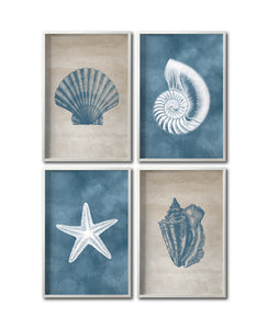 Set Cuadros Decorativos Marino 001 Caracol, Concha y Estrella de Mar