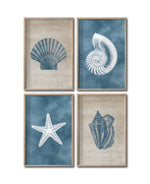 Cargar imagen en el visor de la galería, Set Cuadros Decorativos Marino 001 Caracol, Concha y Estrella de Mar
