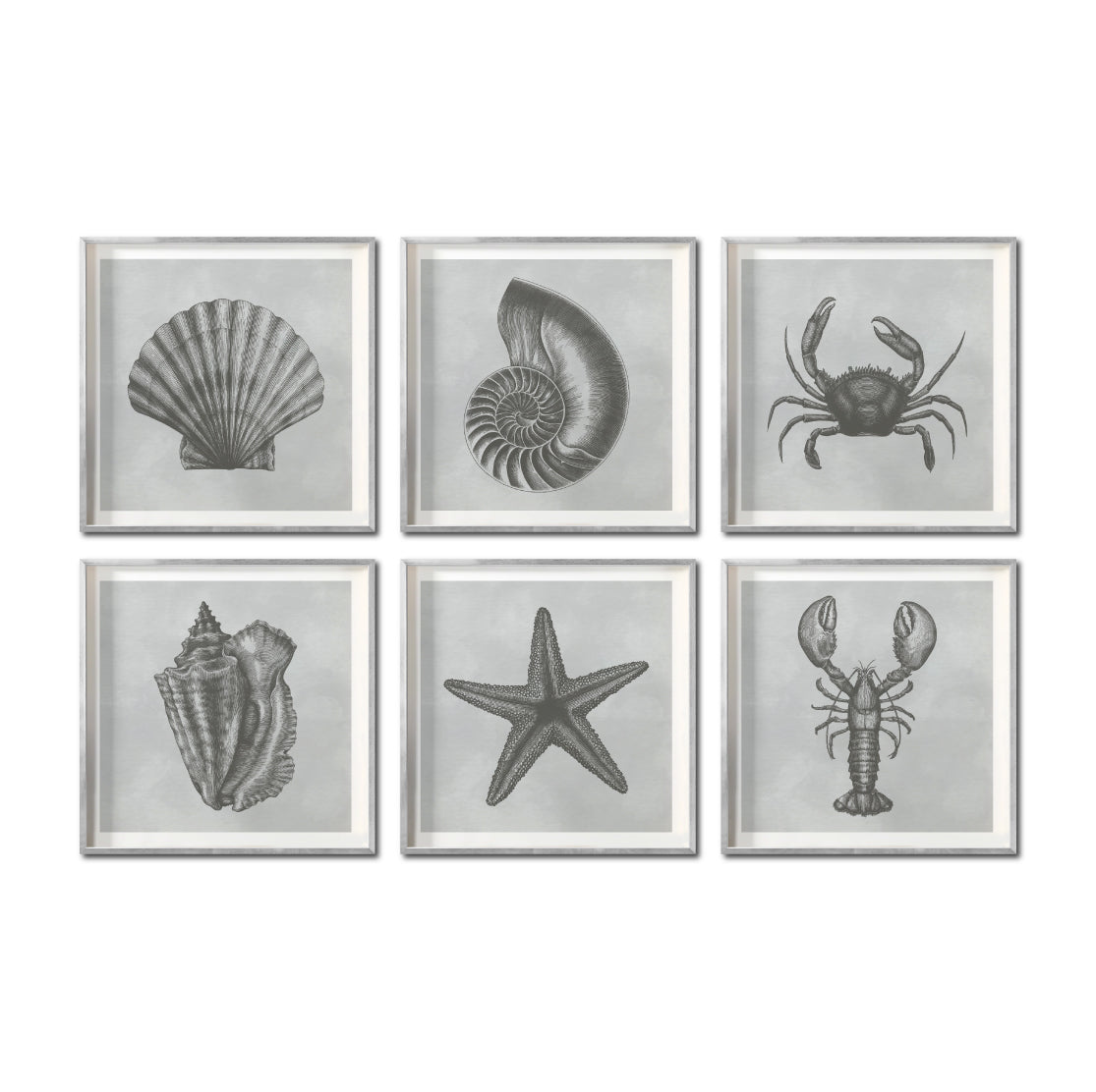 Set Cuadros Decorativos Marino  008 Caracol, Concha, Estrella de Mar y Cangrejo