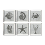 Cargar imagen en el visor de la galería, Set Cuadros Decorativos Marino  008 Caracol, Concha, Estrella de Mar y Cangrejo
