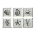 Cargar imagen en el visor de la galería, Set Cuadros Decorativos Marino  008 Caracol, Concha, Estrella de Mar y Cangrejo
