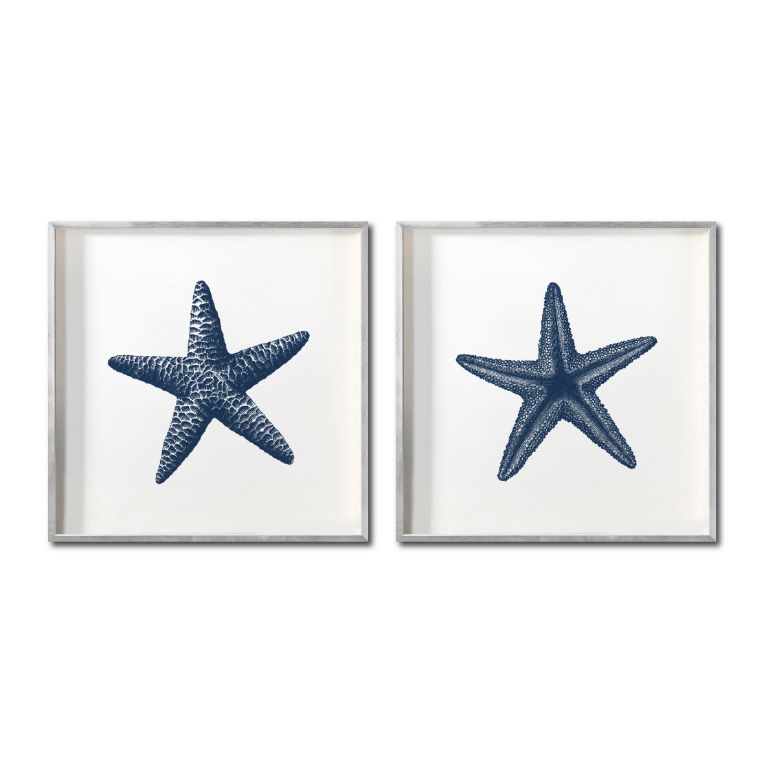 Set Cuadros Decorativos Marino  016 Estrellas de Mar