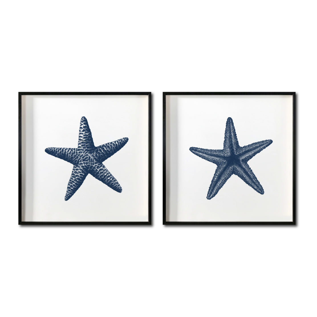 Set Cuadros Decorativos Marino  016 Estrellas de Mar