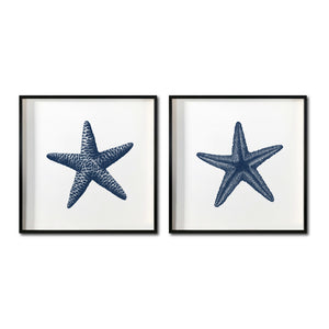 Set Cuadros Decorativos Marino  016 Estrellas de Mar