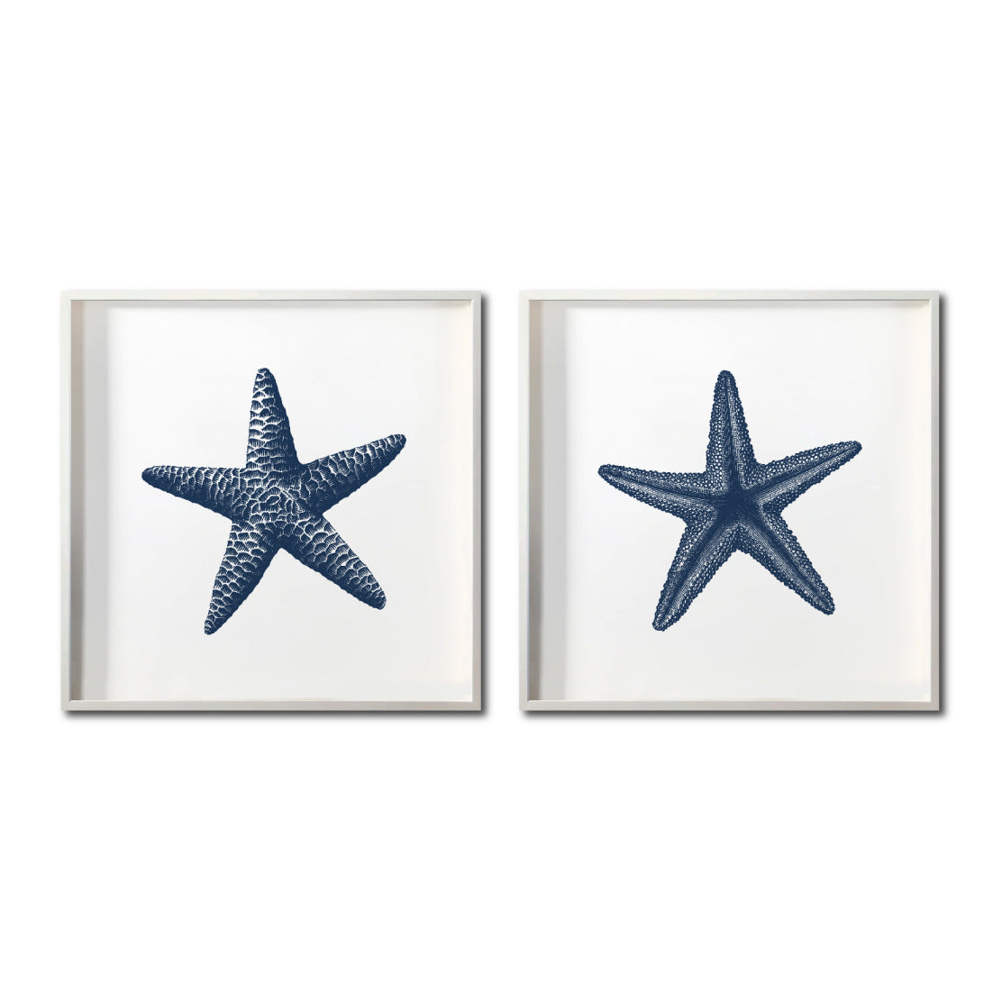 Set Cuadros Decorativos Marino  016 Estrellas de Mar