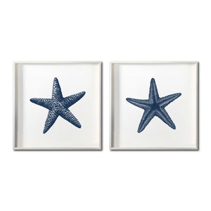 Set Cuadros Decorativos Marino  016 Estrellas de Mar