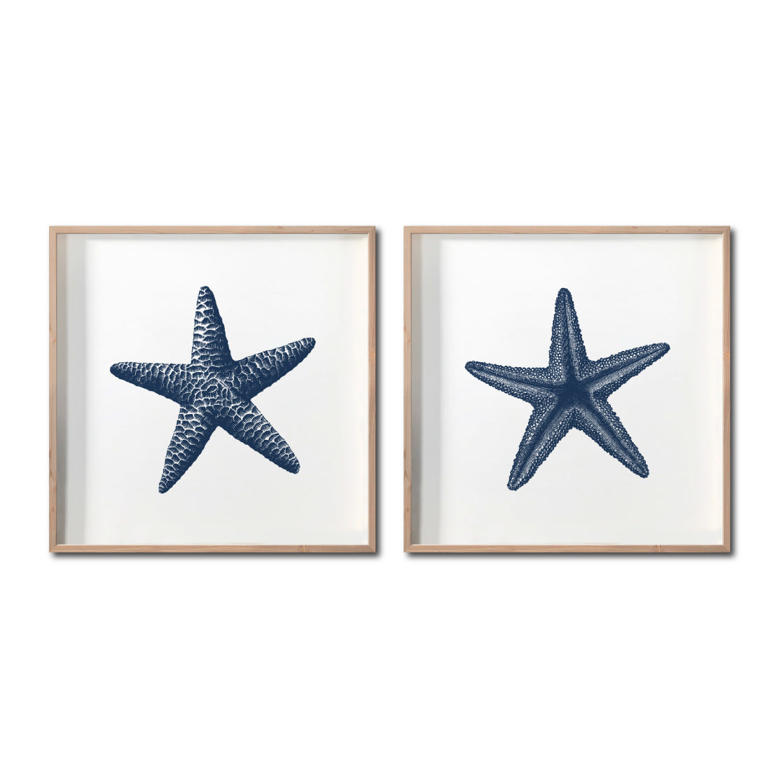 Set Cuadros Decorativos Marino  016 Estrellas de Mar