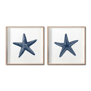 Set Cuadros Decorativos Marino  016 Estrellas de Mar