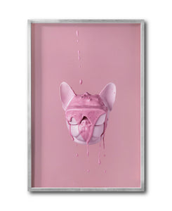 Cuadro Decorativo Pink 032 -Bulldog Rosa Doggy Splash