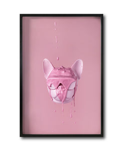 Cuadro Decorativo Pink 032 -Bulldog Rosa Doggy Splash