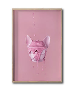 Cuadro Decorativo Pink 032 -Bulldog Rosa Doggy Splash