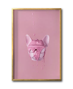 Cuadro Decorativo Pink 032 -Bulldog Rosa Doggy Splash