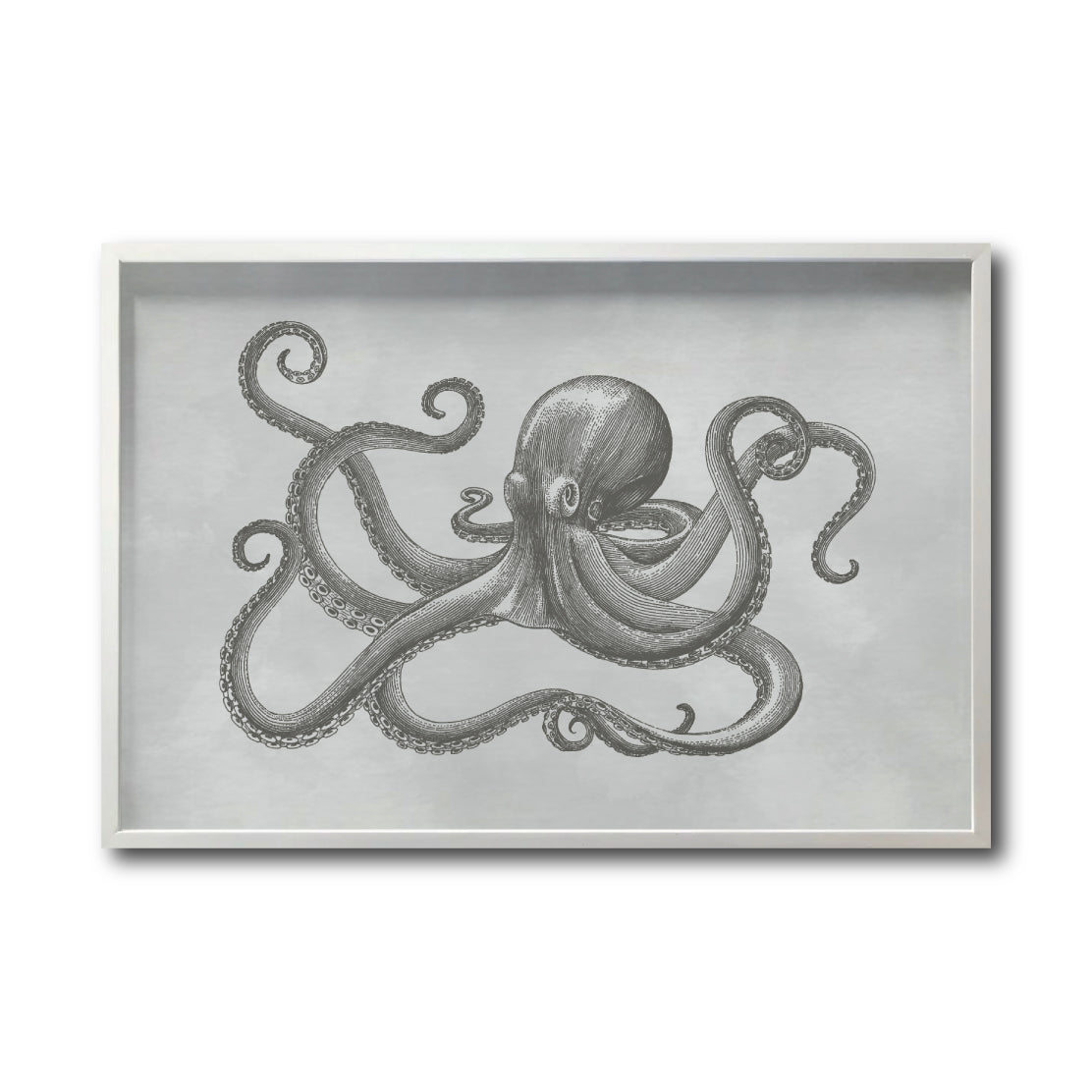 Cuadro Decorativo Marino 038 Pulpo