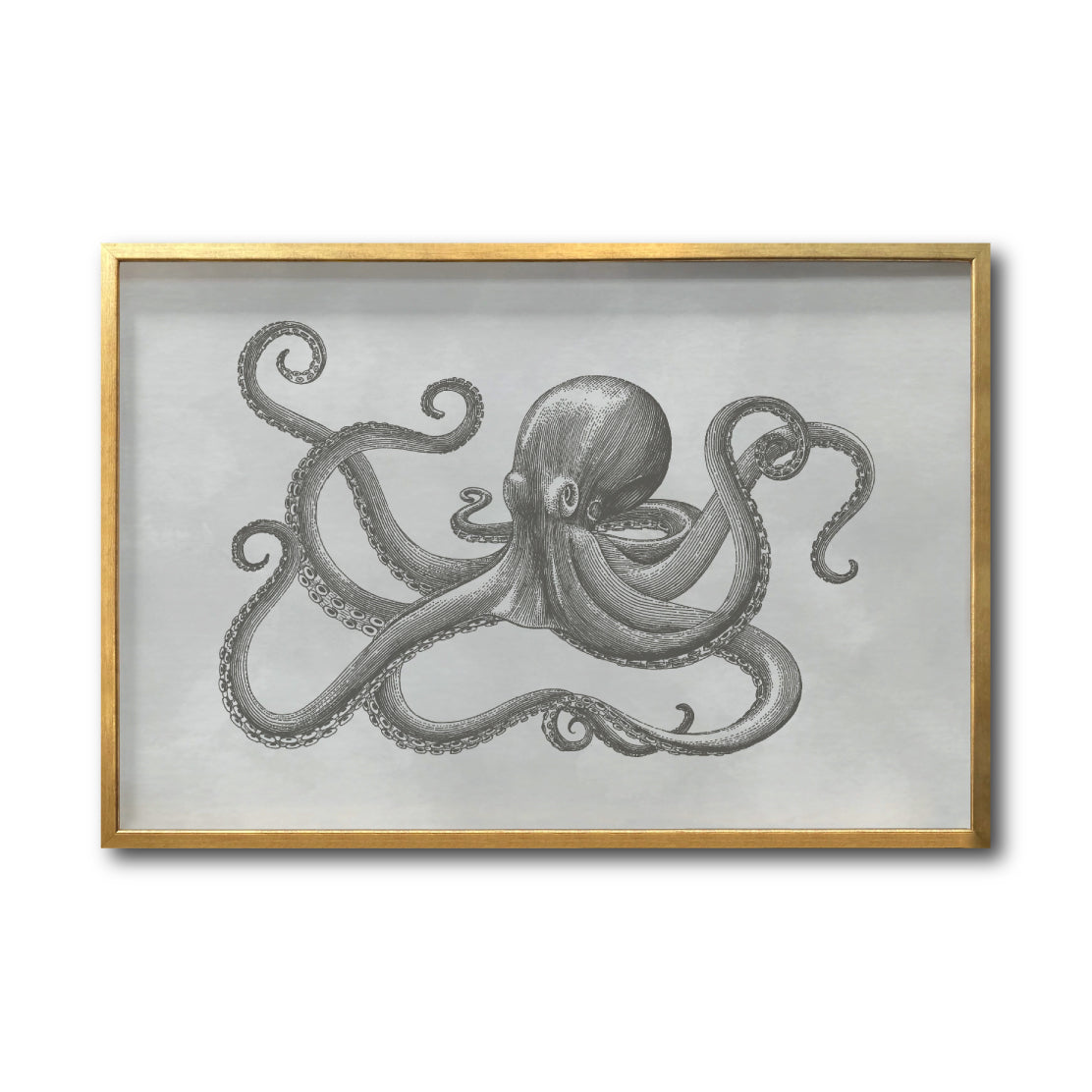 Cuadros Arte Marino Elegantes baratos para comedor. Galería314. Pulpo Gris