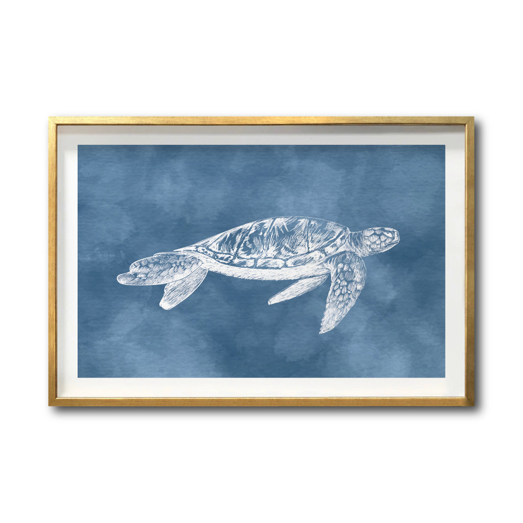 Cuadros decorativos Arte Marino para tu recámara. Galería314. Tortuga