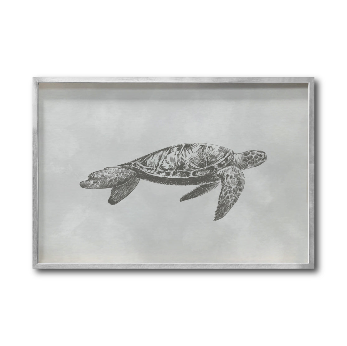 Cuadro Decorativo Marino 042 Piezas Tortuga