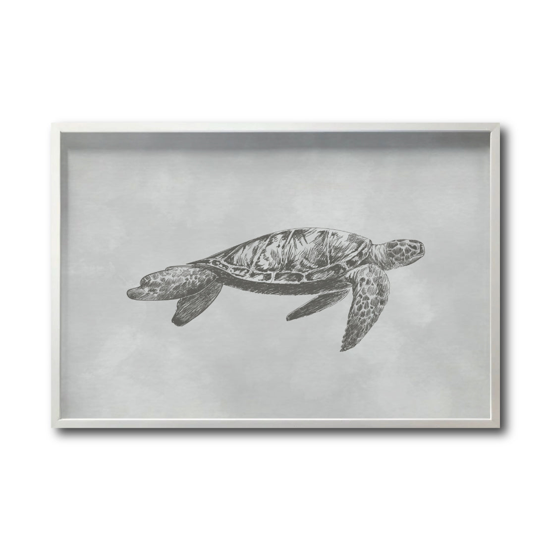 Cuadro Decorativo Marino 042 Piezas Tortuga