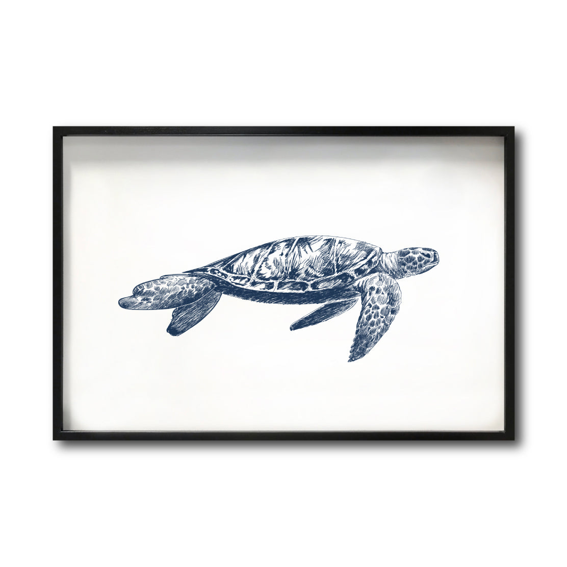 Cuadro Decorativo Marino 043 Tortuga