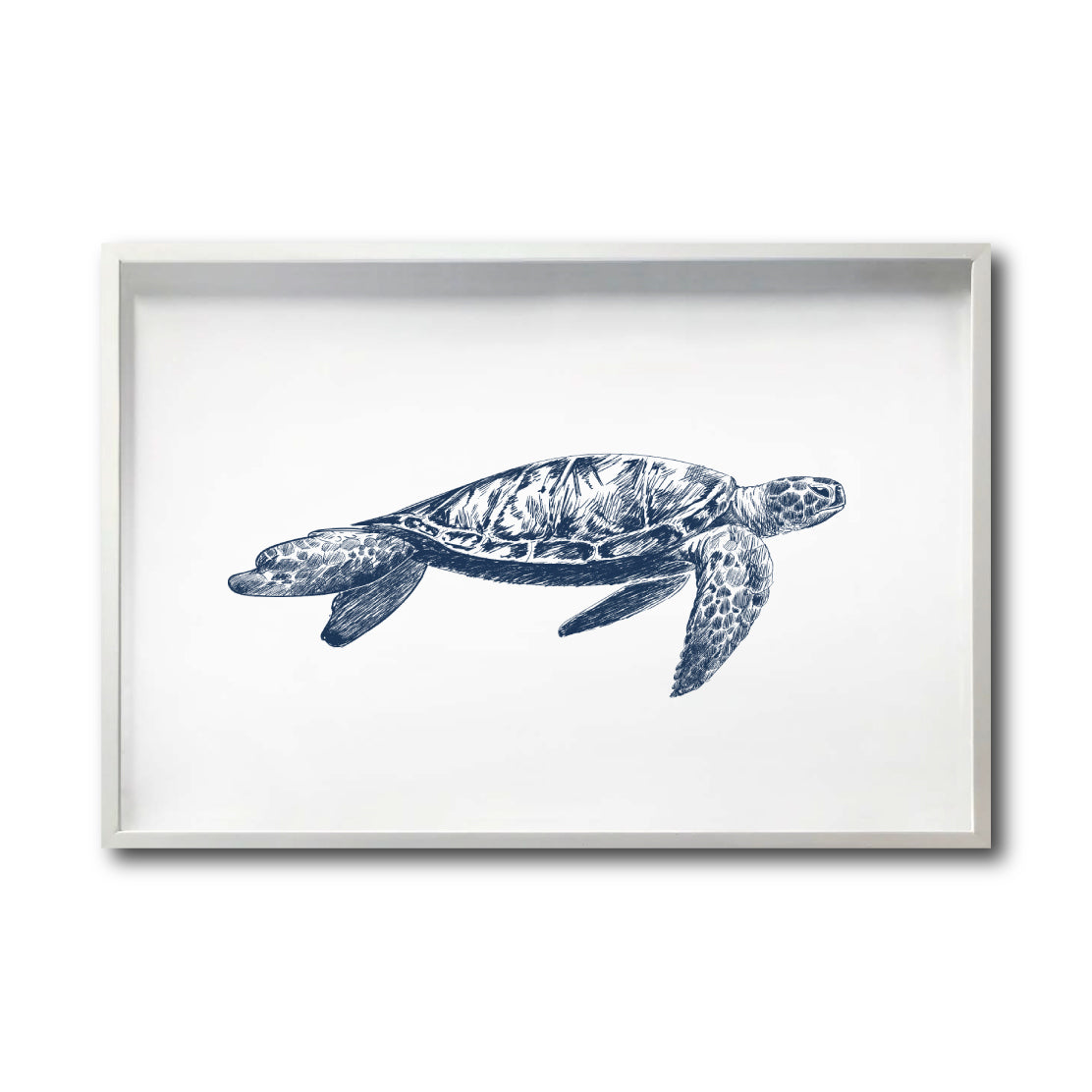 Cuadro Decorativo Marino 043 Tortuga