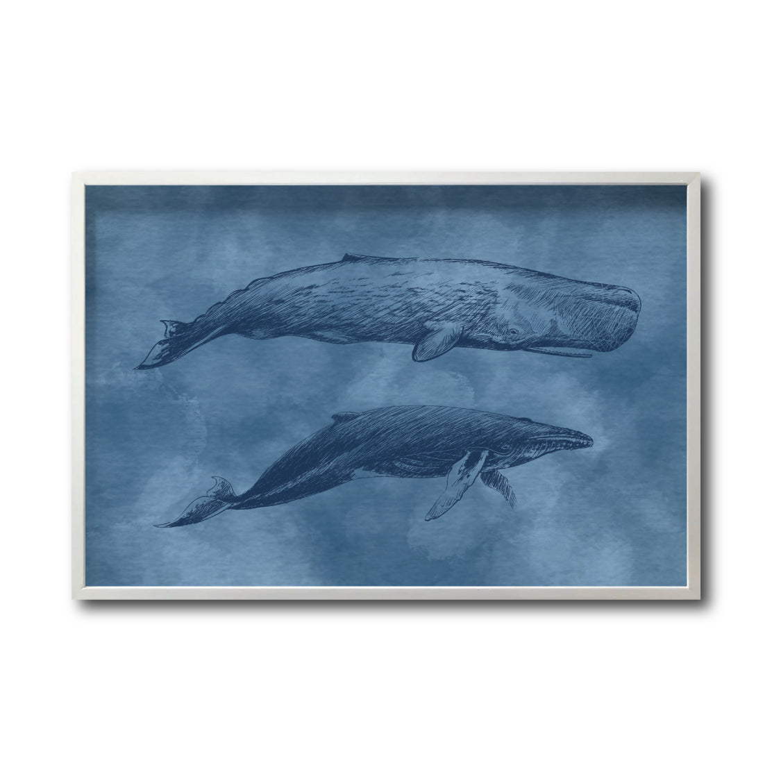 Cuadro Decorativo Marino 044 Ballenas