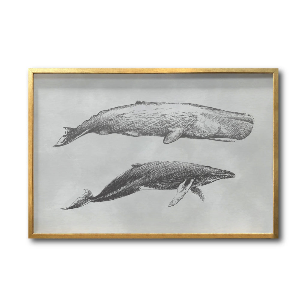 Cuadros Canvas del Mar para sala en México. Galería314. Ballena Gris