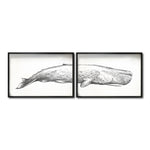 Cargar imagen en el visor de la galería, Set Cuadros Decorativos Marino 047 Ballena
