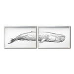 Cargar imagen en el visor de la galería, Set Cuadros Decorativos Marino 047 Ballena
