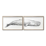 Cargar imagen en el visor de la galería, Set Cuadros Decorativos Marino 047 Ballena
