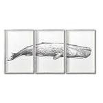 Cargar imagen en el visor de la galería, Set Cuadros Decorativos Marino  047-3 Ballena
