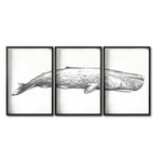 Cargar imagen en el visor de la galería, Set Cuadros Decorativos Marino  047-3 Ballena
