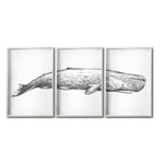 Cargar imagen en el visor de la galería, Set Cuadros Decorativos Marino  047-3 Ballena
