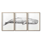 Cargar imagen en el visor de la galería, Set Cuadros Decorativos Marino  047-3 Ballena
