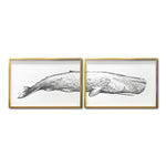 Cargar imagen en el visor de la galería, Cuadros animales para Sala, recámara y comedor. Fauna y Naturaleza. Arte decoración de interiores. Arte Azul Marino. Decoración Fauna. BAllena. Blue Whale
