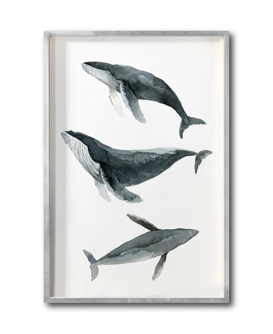 Cuadro Decorativo Marino 049 Ballenas