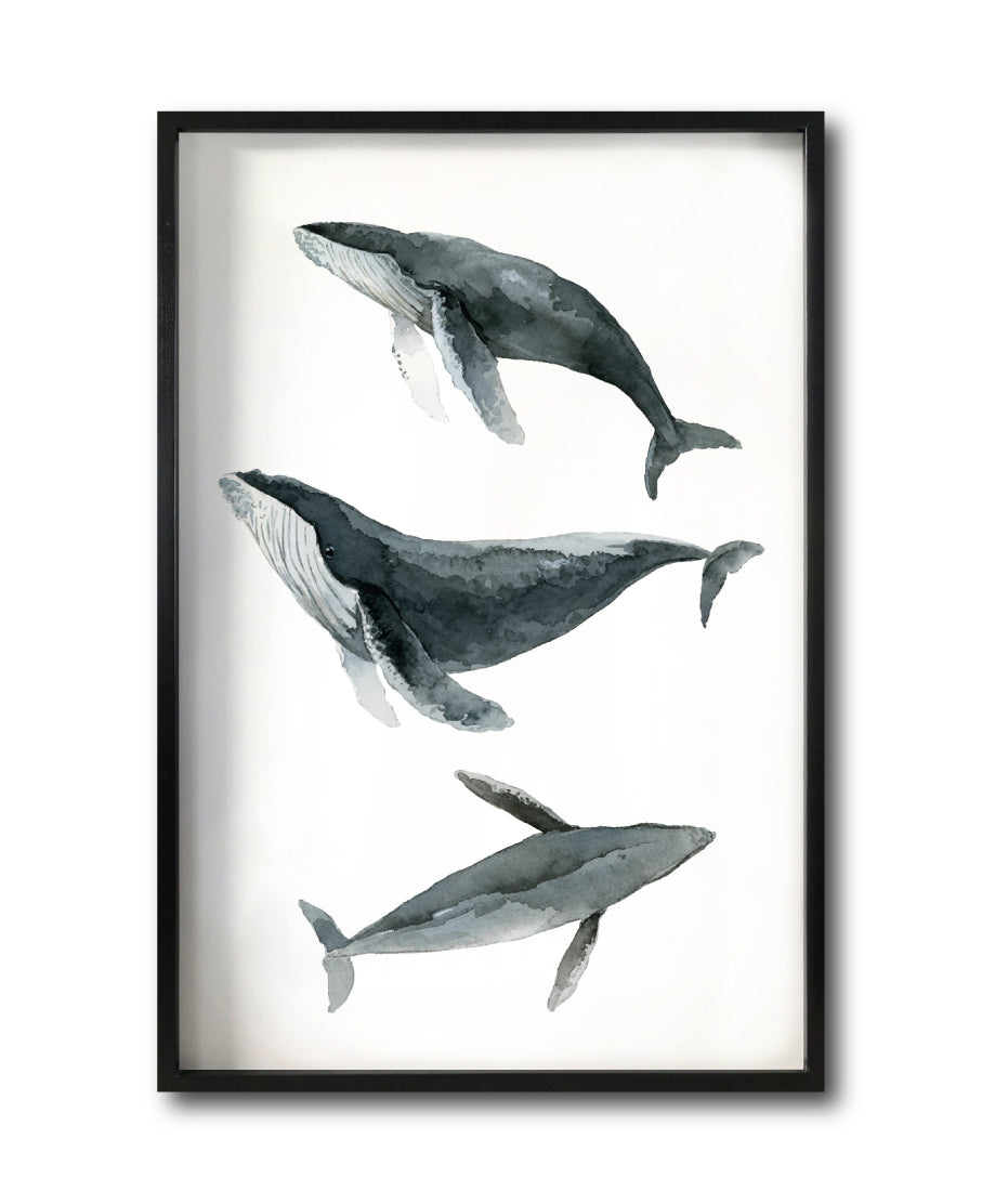 Cuadro Decorativo Marino 049 Ballenas