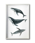 Cargar imagen en el visor de la galería, Cuadro Decorativo Marino 049 Ballenas
