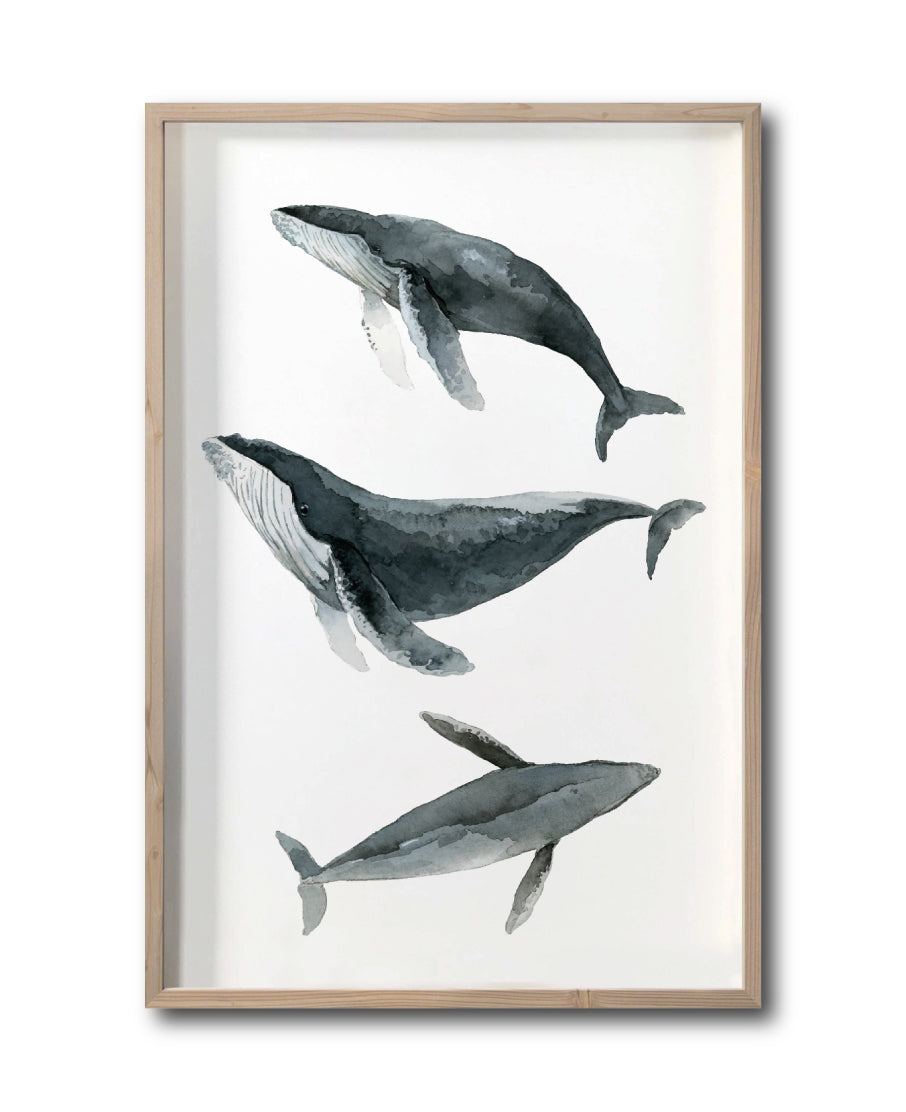 Cuadro Decorativo Marino 049 Ballenas