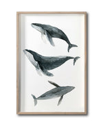 Cargar imagen en el visor de la galería, Cuadro Decorativo Marino 049 Ballenas
